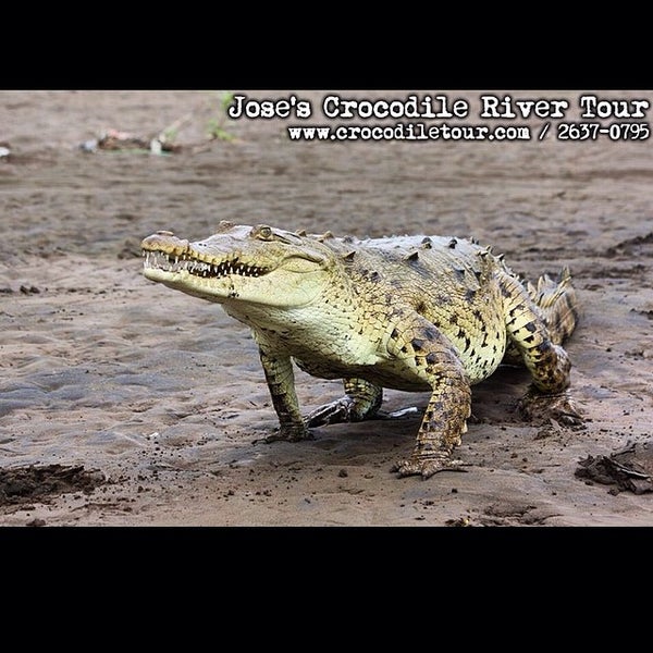 Das Foto wurde bei Jose&#39;s Crocodile River Tour von Croocodile T. am 4/11/2014 aufgenommen