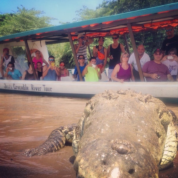 Today's photo! #costarica #crc #crocodiles #animal #nature #beach #reptiles #river #boat #tour #jungle #scenery #wildlife