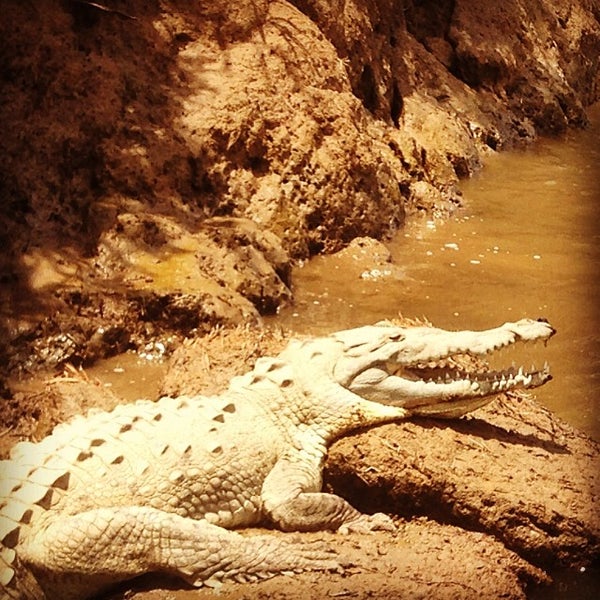 Das Foto wurde bei Jose&#39;s Crocodile River Tour von Croocodile T. am 4/22/2014 aufgenommen