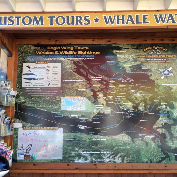 Foto scattata a Eagle Wing Whale &amp; Wildlife Watching Tours da Ben L. il 10/3/2015