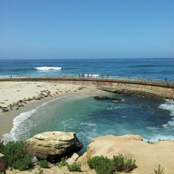 Shell Beach La Jolla Cove Village Coast Blvd