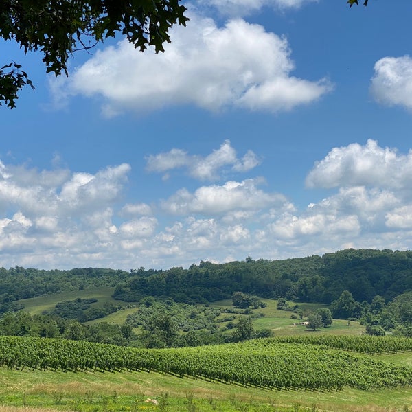 Linden Vineyards Winery in Linden