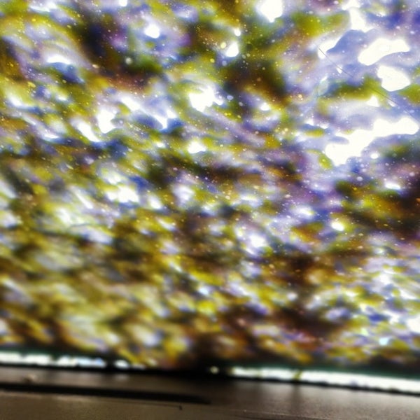 247 Car Wash Oak Park Northwood 4 tips from 138 visitors