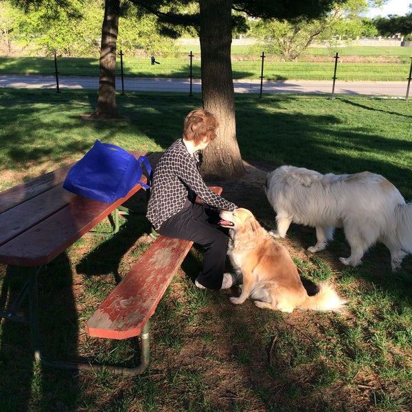 Riverwalk Dog Park 4 tips from 84 visitors