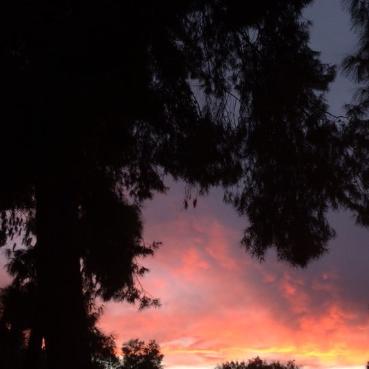 asu-shuttle-stop-tempe-5-tips