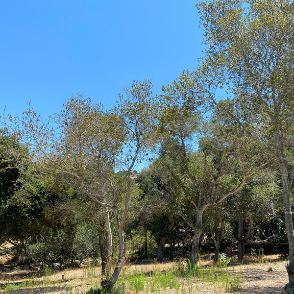 7/29/2020 tarihinde Shaftziyaretçi tarafından Carmel Valley Ranch'de çekilen fotoğraf