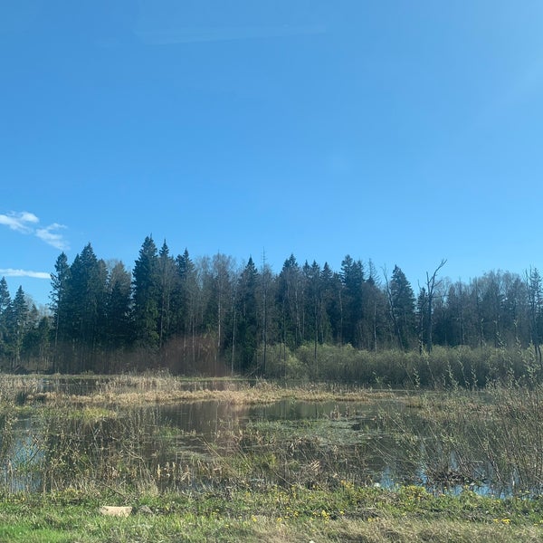 Знаменский лесопарк орел. Поселок лесопарк. Поселок лесопарк магнитогорск. Мещерский парк переделкино. Вербовский владимирская обл парк.