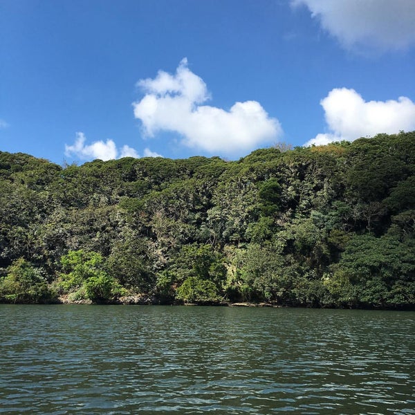 Photos At 小網代ヨットクラブ Harbor Marina In 三浦市
