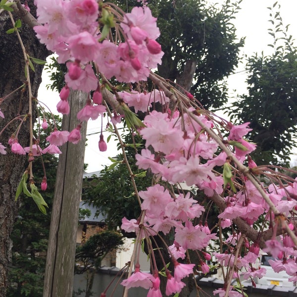 Photos At 蓮華山東之院 大森 0 Tips