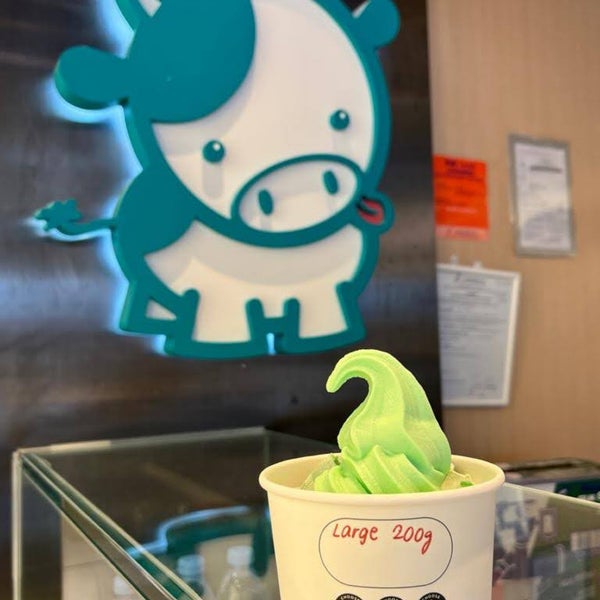 Yo Mama Frozen Yogurt Shop