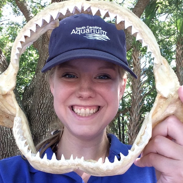 Splash Island Mt. Pleasant, SC