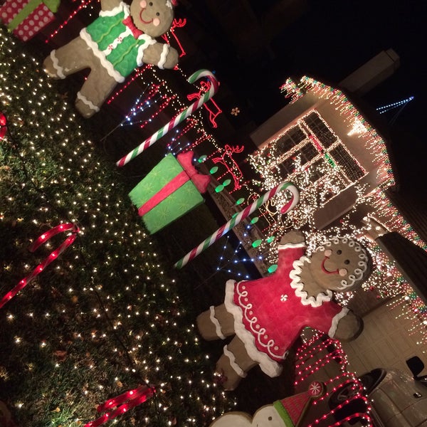 Thoroughbred Christmas Lights 16 tips from 726 visitors