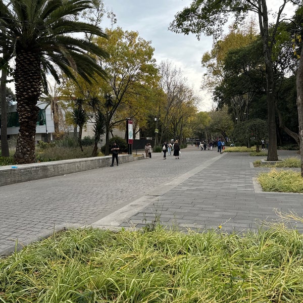 Photo taken at Bosque de Chapultepec by Bernardo B. M. on 1/2/2024