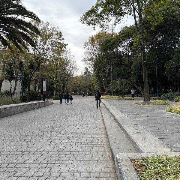 Photo prise au Bosque de Chapultepec par Bernardo B. M. le1/10/2024