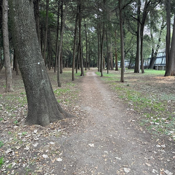 Foto tomada en Bosque de Chapultepec  por Bernardo B. M. el 12/9/2023