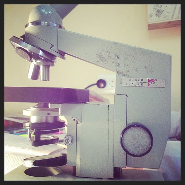 Кафедра гистологии спбгпму. Кафедра гистологии спбгпму билетная программа. Педиатрический университет. Спбгпму кафедра гистологии. Кафедра патологической анатомии спбгпму.