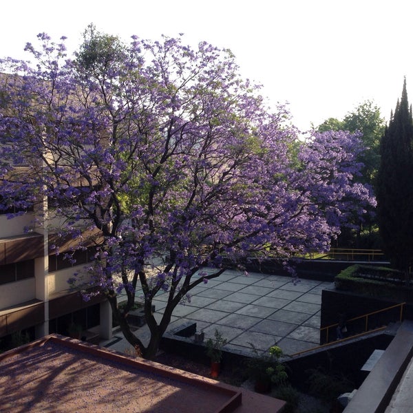Das Foto wurde bei Facultad de Psicología, UNAM von Blanca G. am 4/10/2015 aufgenommen