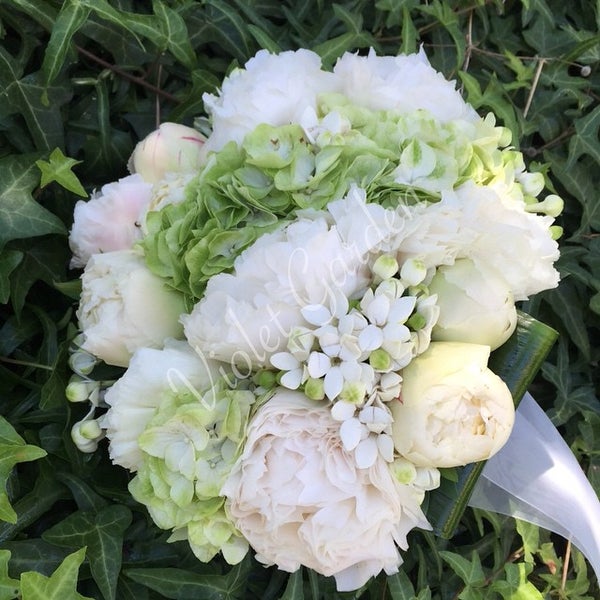 8/18/2015にViolet Garden ÇiçekliğiがViolet Garden Çiçekliğiで撮った写真