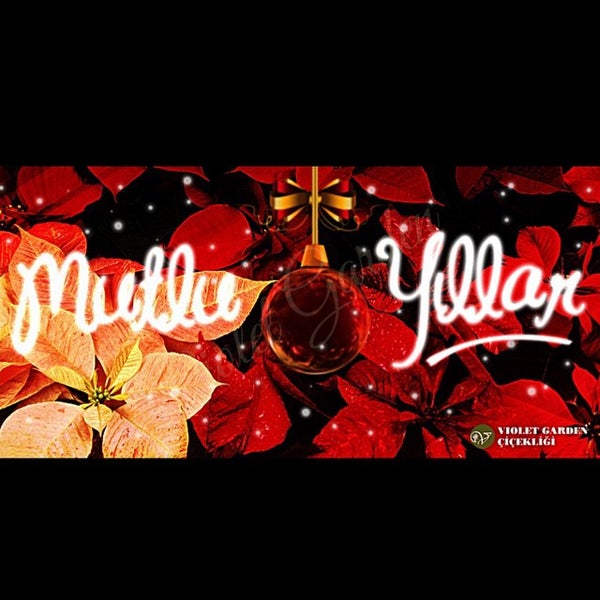 12/30/2014にViolet Garden ÇiçekliğiがViolet Garden Çiçekliğiで撮った写真