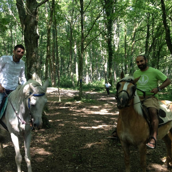 6/16/2013にHamdi Ramazan k.がBelgrad Ormanıで撮った写真