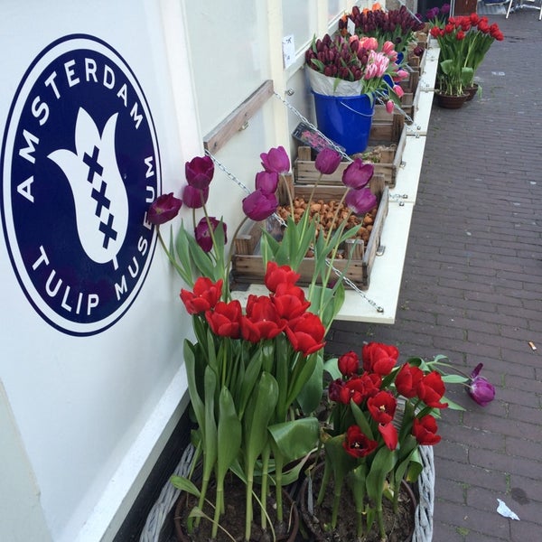 Amsterdam Tulip Museum Jordaan Amsterdam, NoordHolland