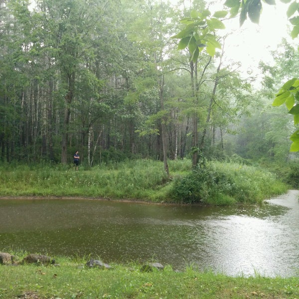 Freehold Greenville, NY