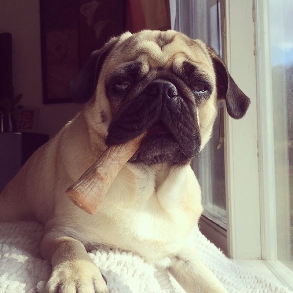 Seneca Bingo Salamanca, NY