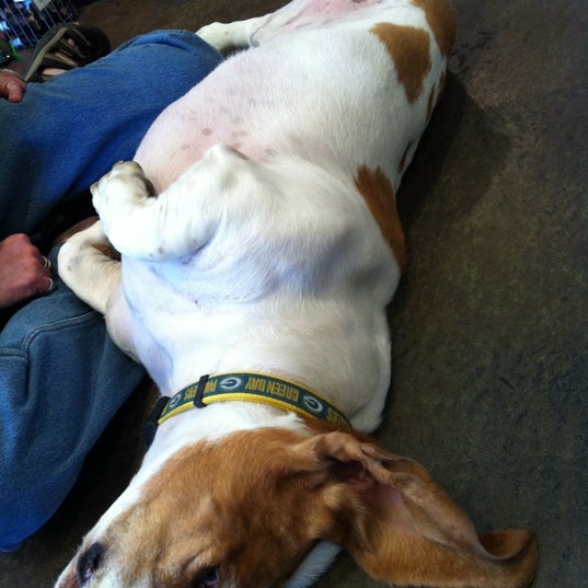 10/15/2012にRaul S.がDog Dog Catで撮った写真