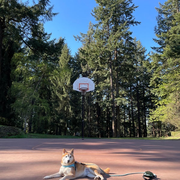 Mt Tabor Basketball Court 17 visitors Mt Tabor Basketball Court 17 visitors