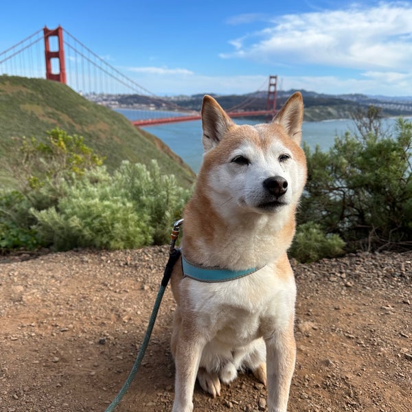 Photo taken at Golden Gate Overlook by Megan P. on 3/27/2023