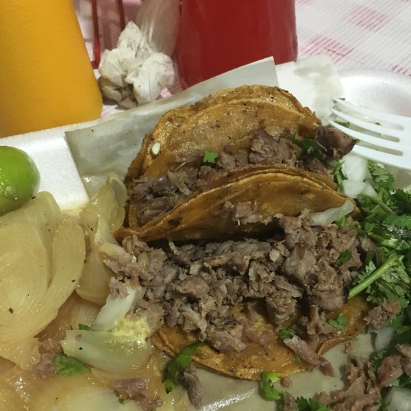 Tacos Piratas Taco Restaurant