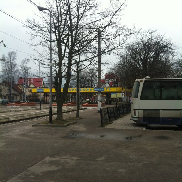 Вокзал зеленоградск автобус