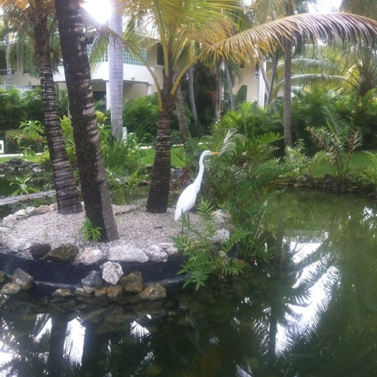 Photo taken at The Reserve at Paradisus Punta Cana Resort by Ekaterina R. on 10/30/2012