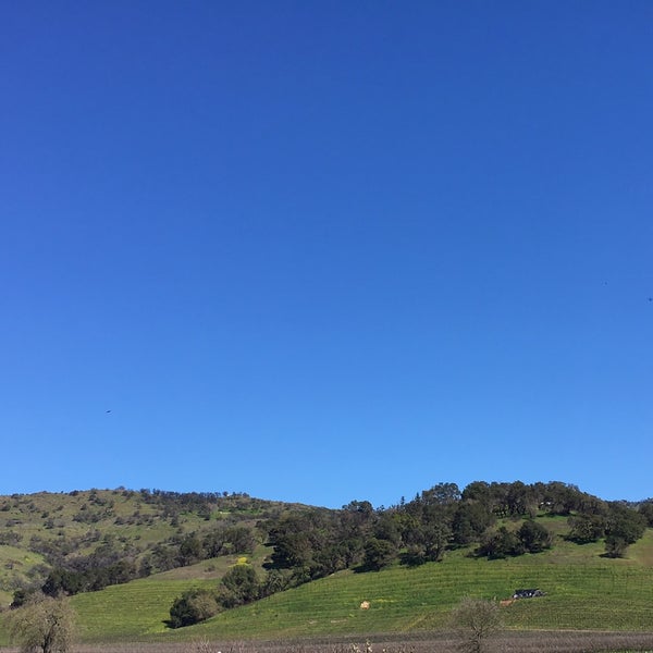 Photo taken at Clos Du Val Winery by Patricia on 3/15/2019