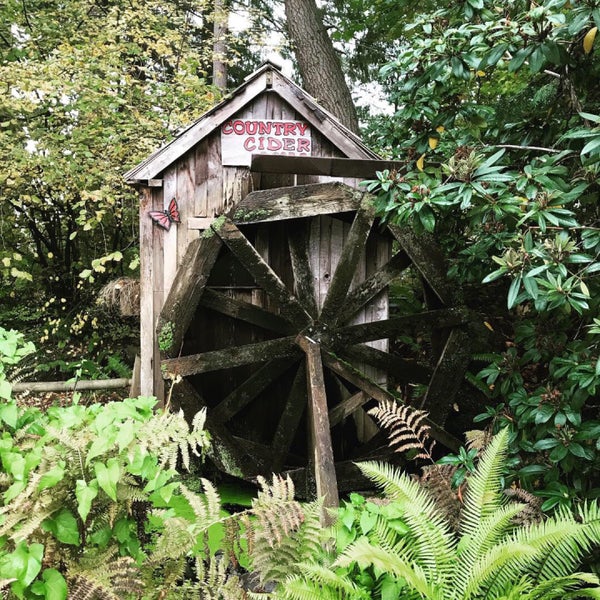 Lattin's Country Cider Mill 10 tips from 335 visitors