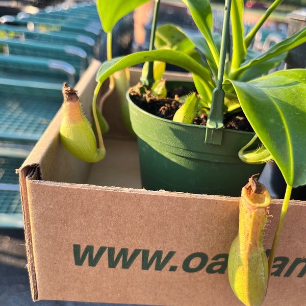 Oakland Nursery Dublin, OH