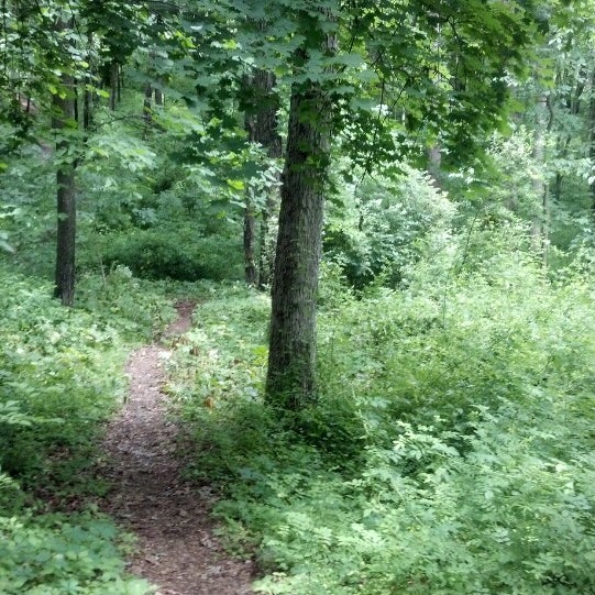 Codorus State Park Bike Trails 8 visitors
