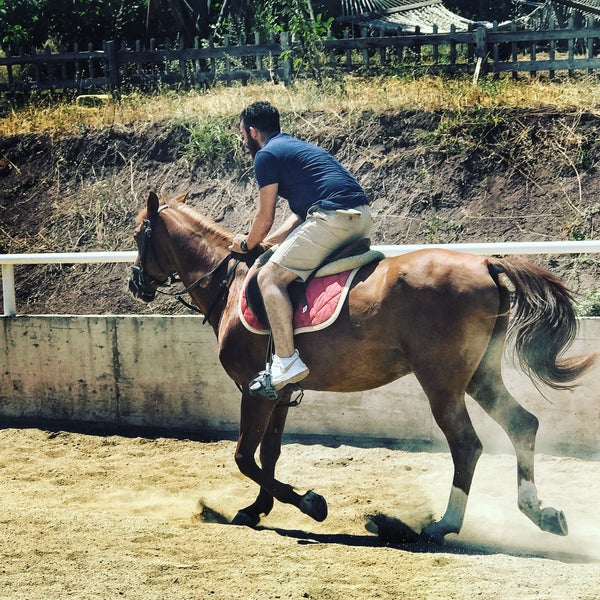 7/24/2017에 Mehmet Efe Y.님이 Doğuşlu Binicilik ve Pony Kulübü에서 찍은 사진
