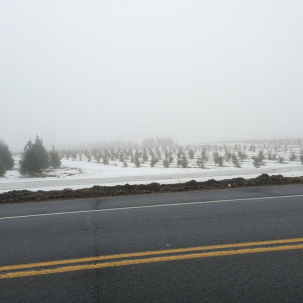 Photos at The Tree Farm At St Paul's Abbey Newton, NJ