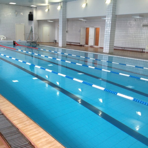 Светлана просп энгельса 27т фото