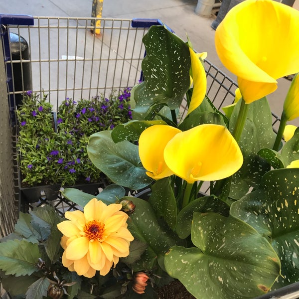 Lowe S Hardware Store In Gilroy