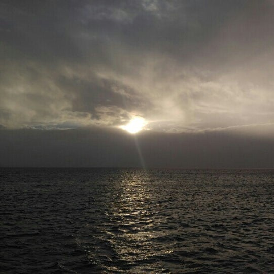 11/25/2015에 Matthew B.님이 Trilogy Excursions, Lahaina Boat Harbor에서 찍은 사진