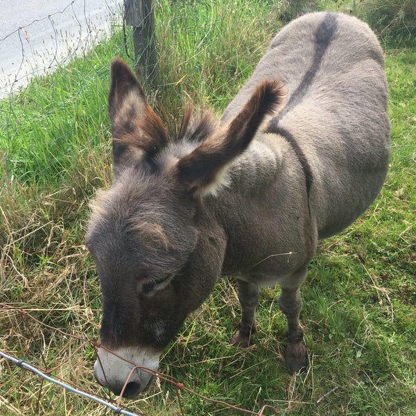 Clayburn Village Store Candy Store in Abbotsford