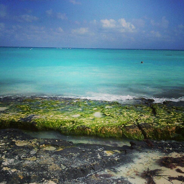 3/22/2013 tarihinde 다니엘 M.ziyaretçi tarafından Playa Maya'de çekilen fotoğraf