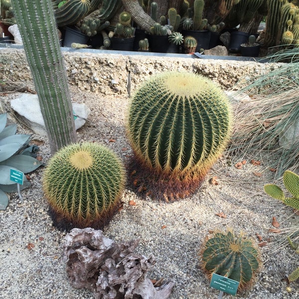 Photos At Botanischer Garten Innenstadt Roseggerstrasse 20