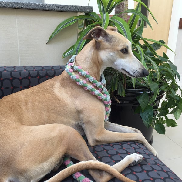 Photos at University of Florida Small Animal Hospital 4 tips from 206 visitors