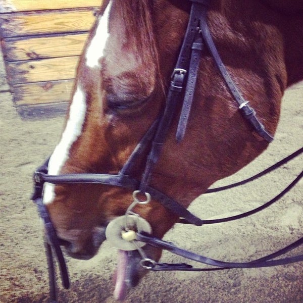 Photo taken at Bergen County Equestrian Center by Sarah D. on 12/29/2012