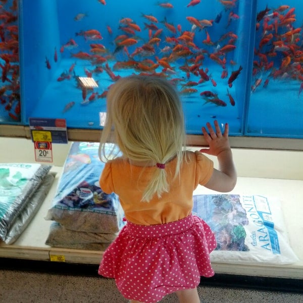 PetSmart Yuma Palms Regional Center 4 tips from 339 visitors