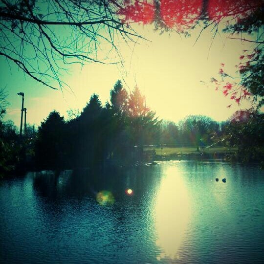 Owen Bell Park Park in Dayville