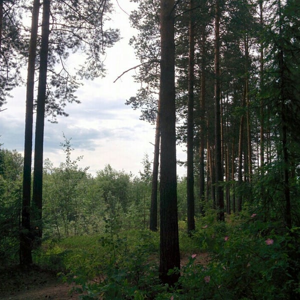 Красная гора сыктывкар